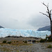 Argentina, On the Way to the Base Camp for Trekking on the Glacier of Perito Moreno