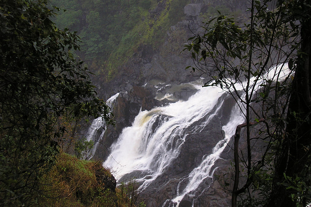 Barron Gorge