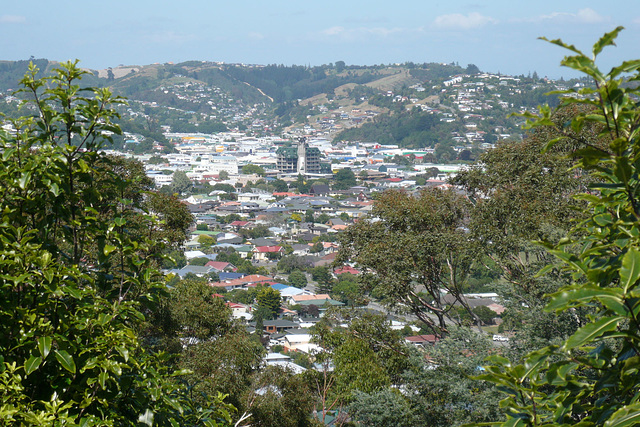 View Over Nelson