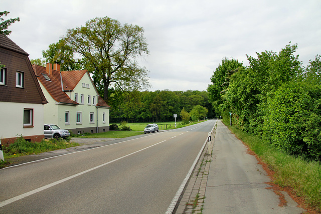 Buerer Straße (Marl-Polsum) / 5.05.2019