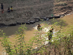 Baignade des gamins laotiens / Swimming time for laotian kids(2)