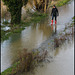 Thames Path in flood