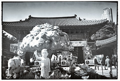 Giant lanterns 연등