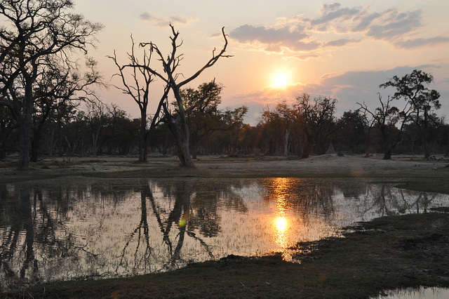 Sunsubiro. Okavango - Delto