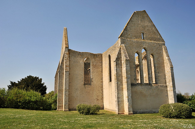 Ruines de l'Eglise Saint-Lubin de Yèvre-le-Châtel - Loiret