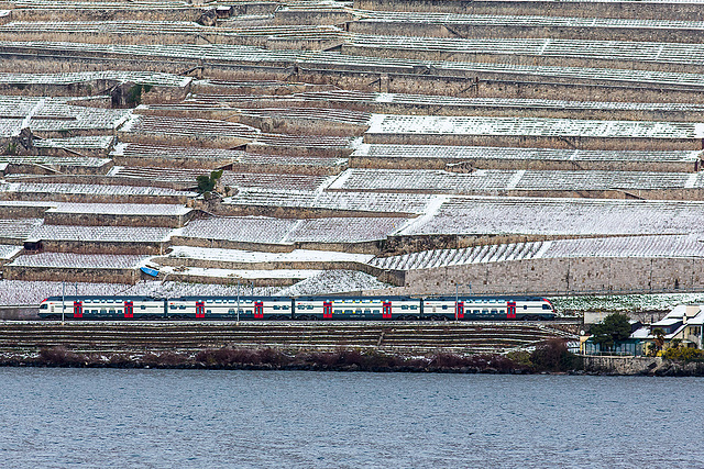 121209 RABe511 Lavaux D