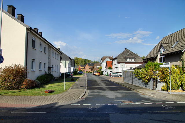 Karl-Gerstein-Straße (Werne-Stockum) / 13.10.2019