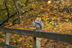 HFF ~ Time to stock up