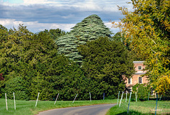 Just Passing Through Just Passing Through