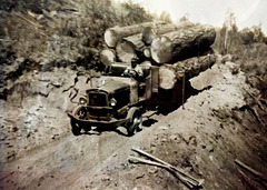 Logging in the 1920s