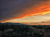 The Huachuca Mountains