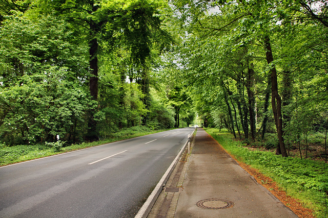 Buerer Straße (Marl-Polsum) / 5.05.2019