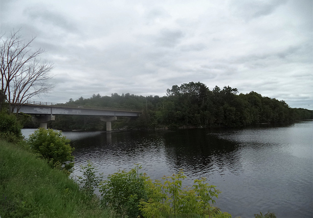 Pont au milieu de la nature / Bridge amongst nature