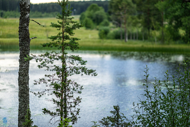 Sjön Åstjärnen