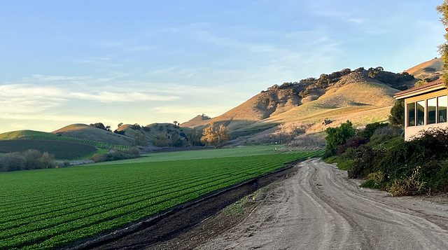 Talley Vineyards farm