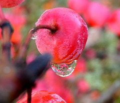 Pluie et re-pluie !
