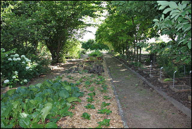 Jardin botanique de La Charme -63 (13)