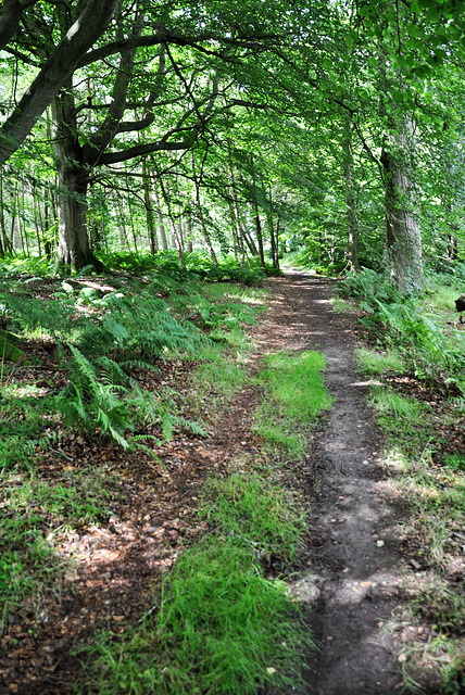 Scotland St. Cuthbert's Way (PiP)