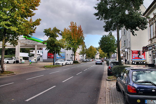 Hörder Phoenixseeallee (Dortmund-Hörde) / 21.10.2023