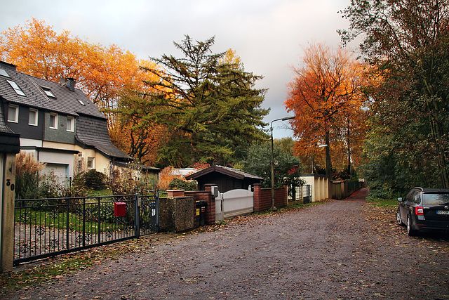 Weg am Kötterberg (Bochum-Grumme) / 11.11.2023