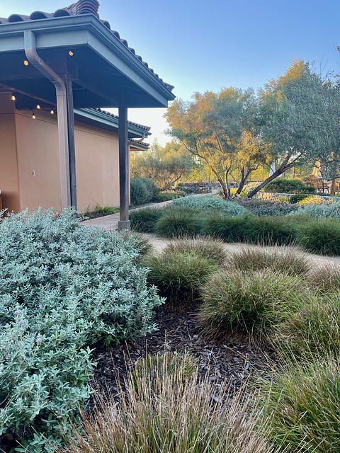 Talley Vineyards landscape