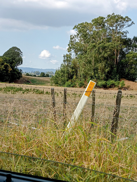 Over A Fence And Far Away.