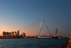 Rotterdam bridges