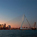 Rotterdam bridges