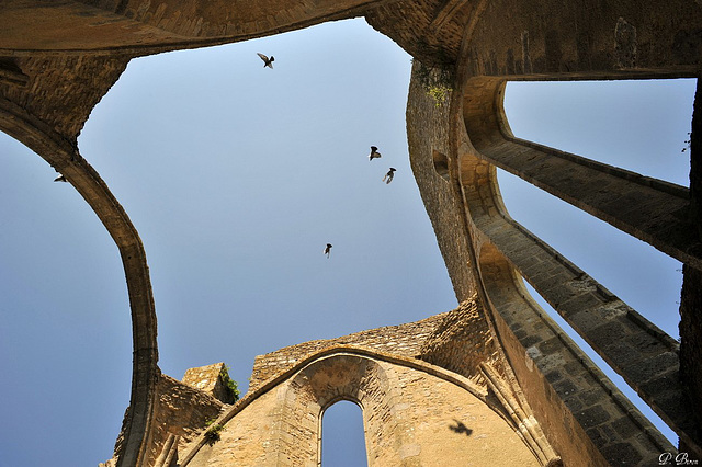 Ruines du transept de l'église Saint-Lubin de Yèvre-le-Châtel - Loiret