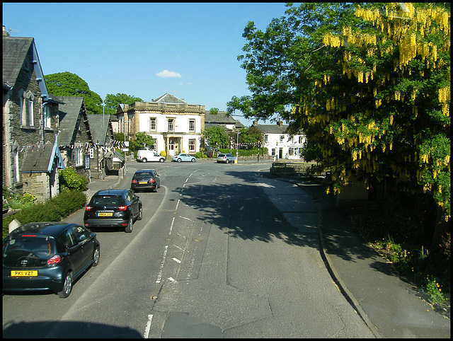 Staveley laburnam