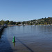 River Tamar At Launceston