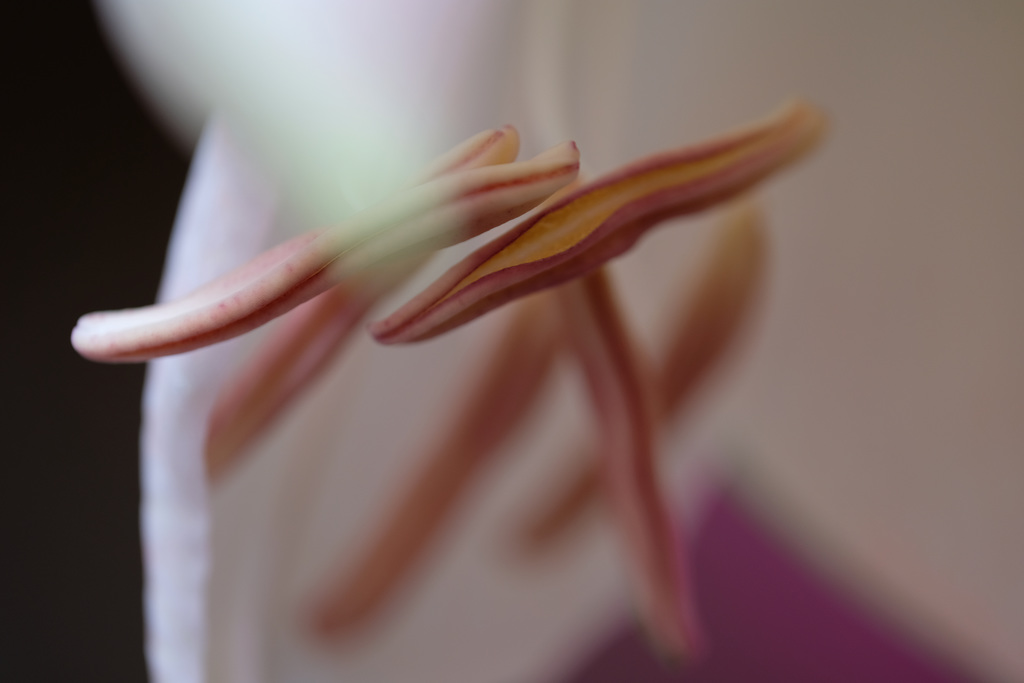 DSCF2376