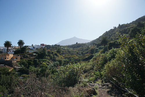 View Of El Teide From Icod