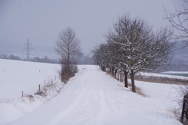 Spaziergang nach dem Schneesturm