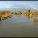 River Thames in flood at Oxford