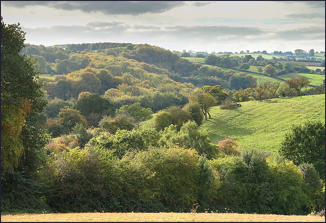 The  'Moss valley'  South Sheffield.