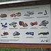 20250524-20250525_Benneckenstein+Wanderung Tanne bis Elbingerode