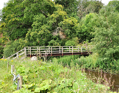 Scotland St. Cuthbert's Way (PiP)