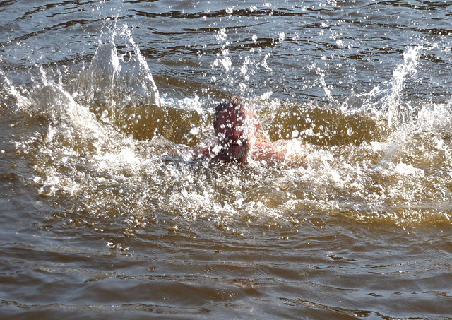 Badefreuden in der Elbe - banplezuroj en la Elbe