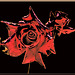 Red red rose