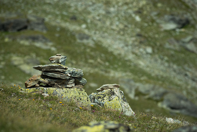 Signalétique alpestre