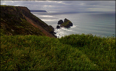 Crane Islands, Basset Cove, North Cliffs, Cornwall