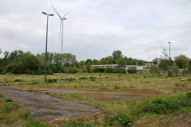 Verwilderter Parkplatz (Zeche Westerholt Schacht Polsum 1, Marl-Polsum) / 5.05.2019