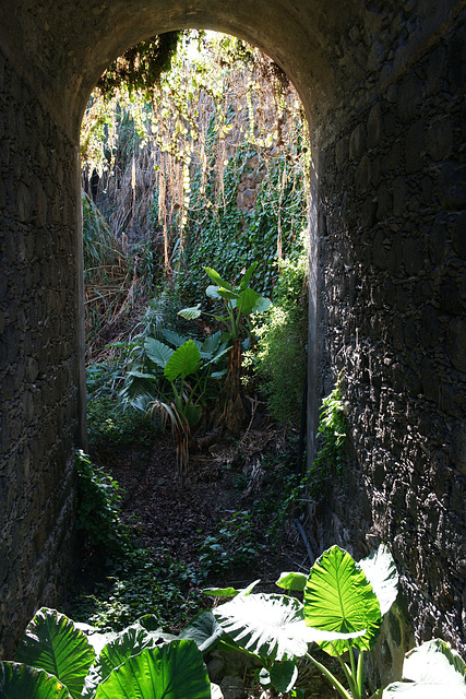 Parque Del Drago