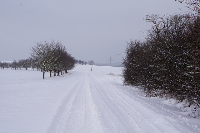 Spaziergang nach dem Schneesturm