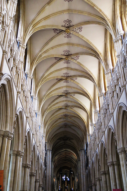 beverley minster, yorks