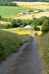 Scotland St. Cuthbert's Way (PiP)