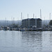 River Tamar At Launceston