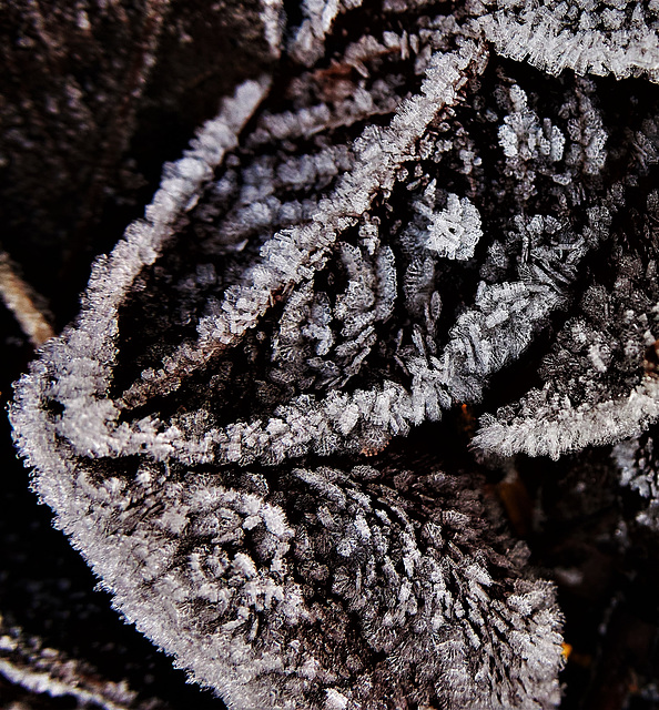 Frosty 2 Frosty 2