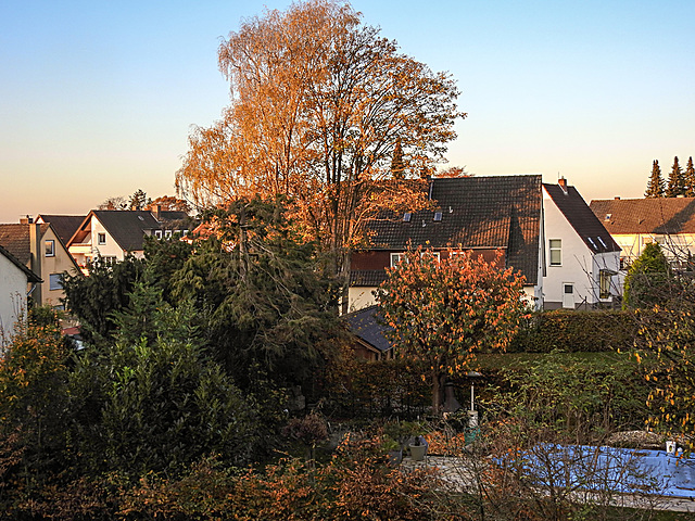 20201107 9855CPw [D~LIP] Herbstfarben, Bad Salzuflen